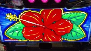 Thumbnail of post image 103