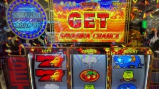 Thumbnail of post image 066